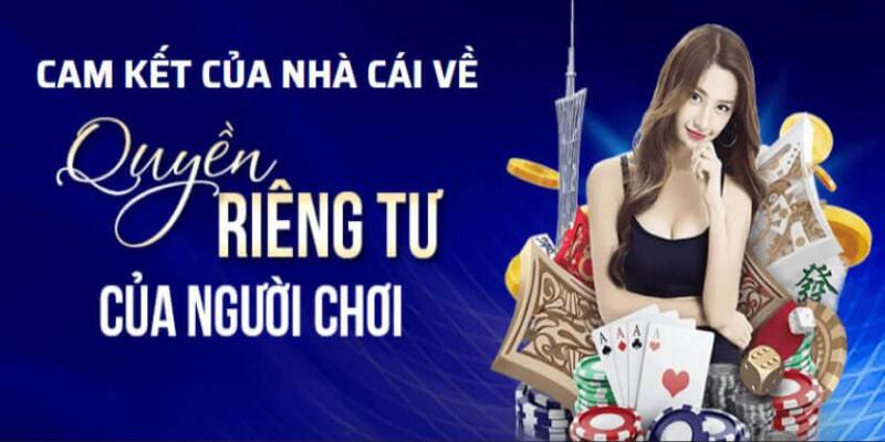 Hỏi cấp phép khi sử dụng thông tin