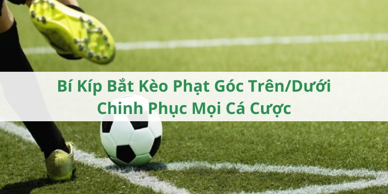 Bỏ vốn đầu tư kèo dưới trong bóng đá theo hình thức tài xỉu